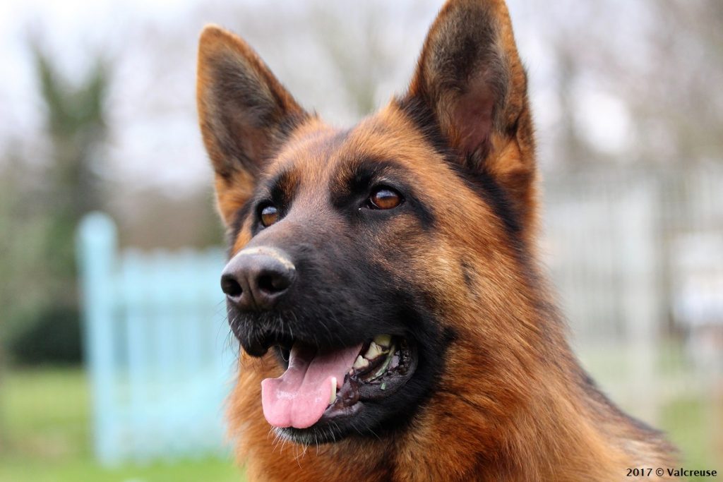 Lovana-portrait2-270217