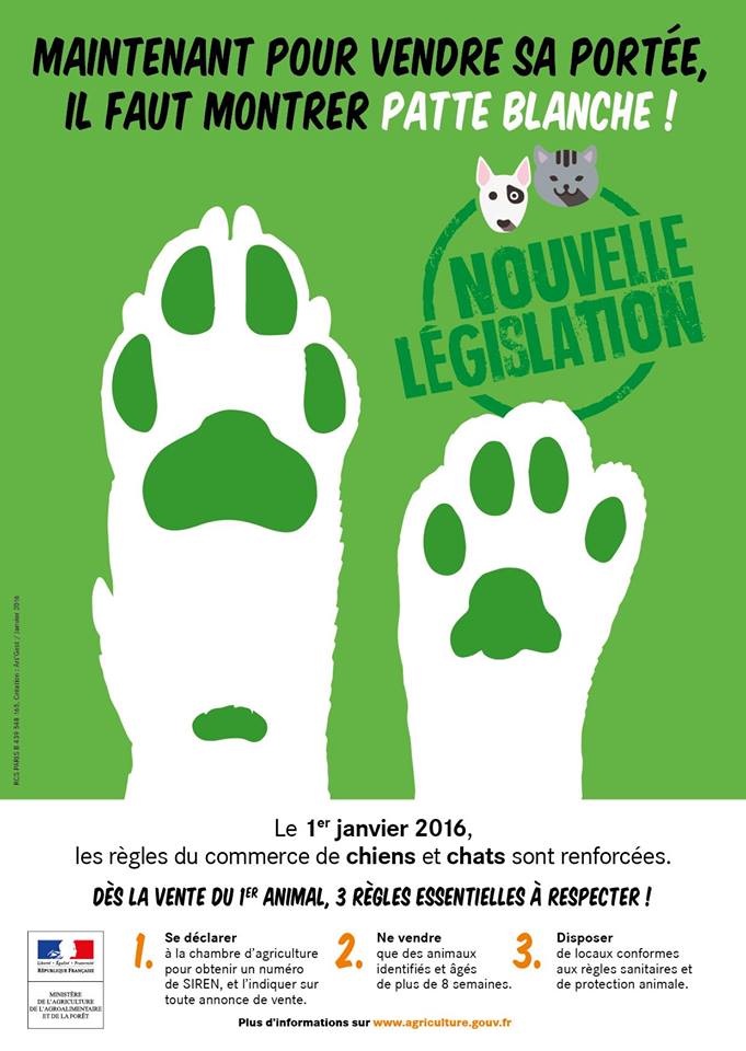 montrer patte blanche definition