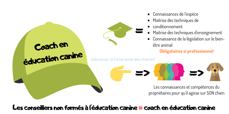 Educateur canin, dresseur, coach en éducation canine, coach de la 