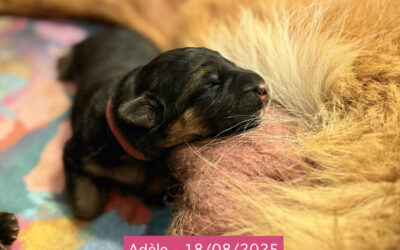 Les bébés de Romane et Uoko