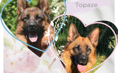 Les bébés de Topaze et Uoko